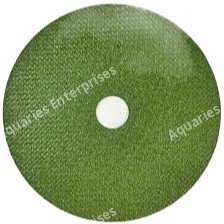 Yuri 4 Inch Green